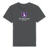 Rocker the essential unisex t-shirt (STTU758) Thumbnail